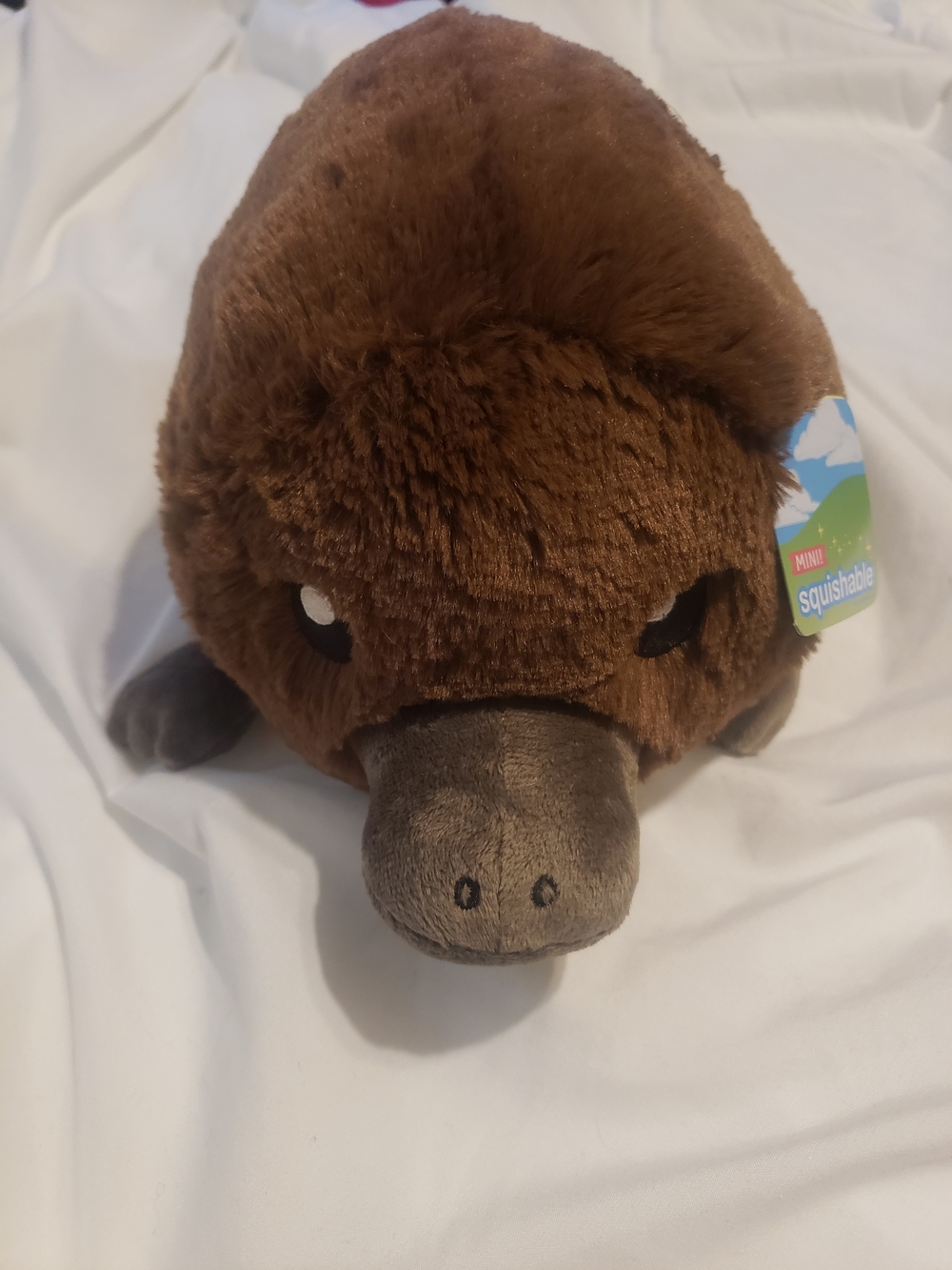 Plush Platypus Squishable - Brown